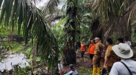 Seorang Warga Pesisir Selatan Hilang di Sungai Saat Mencari Sayur Diduga Diseret Buaya. (Dok TVRI News)