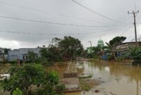 Banjir yang merendam Kecamatan Lambandia, Kabupaten Kolaka Timur, Provinsi Sulawesi Tenggara. (Dok. BPBD Kabupaten Kolaka Timur)